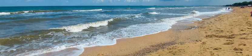 Голубицкая